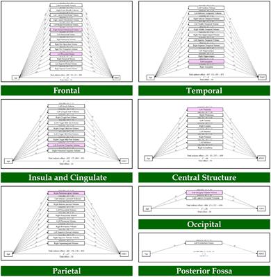 Eight brain structures mediate the age-related alterations of the working memory: forward and backward digit span tasks